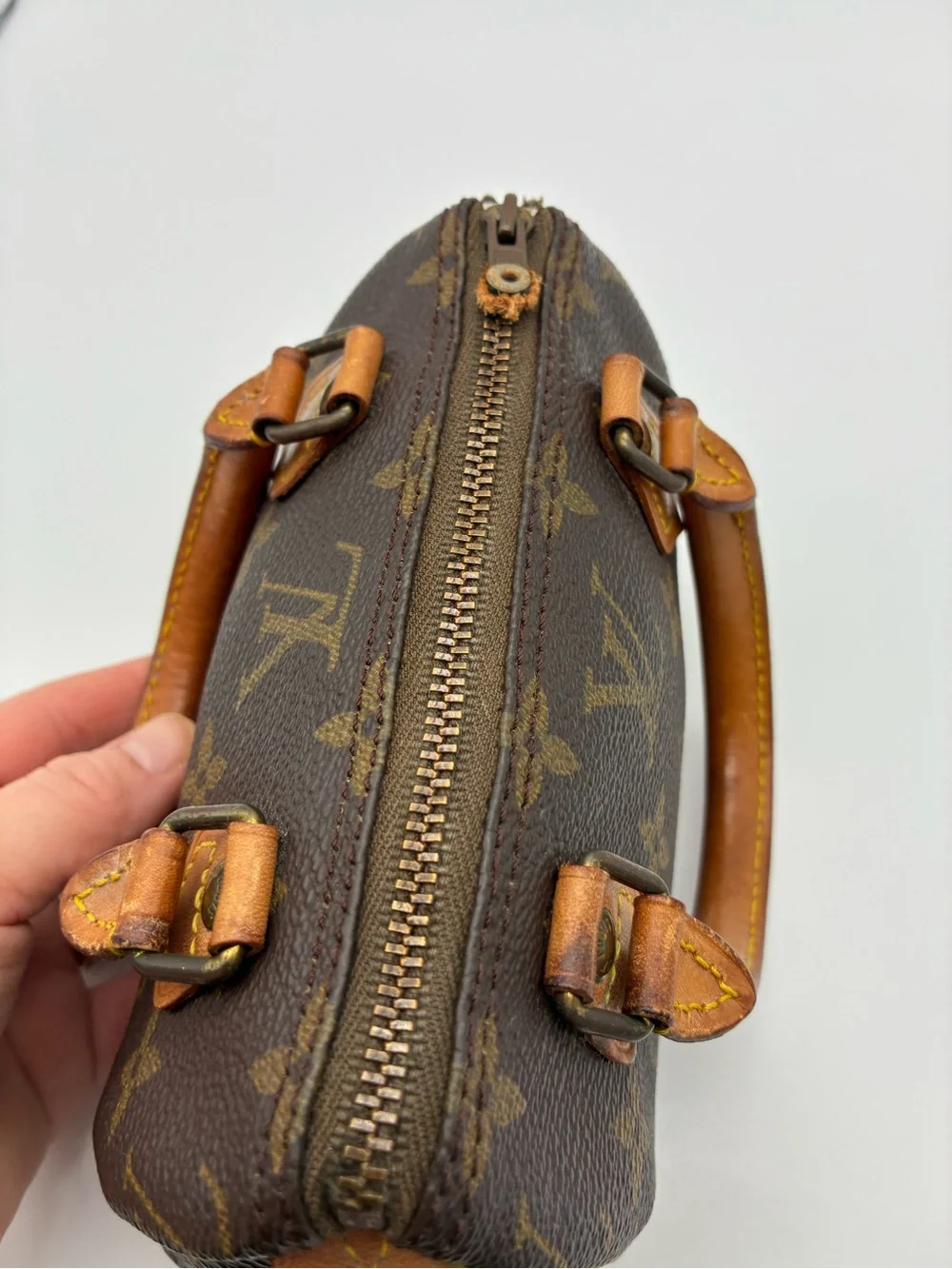 Louis Vuitton mini nano speedy monogram bag
